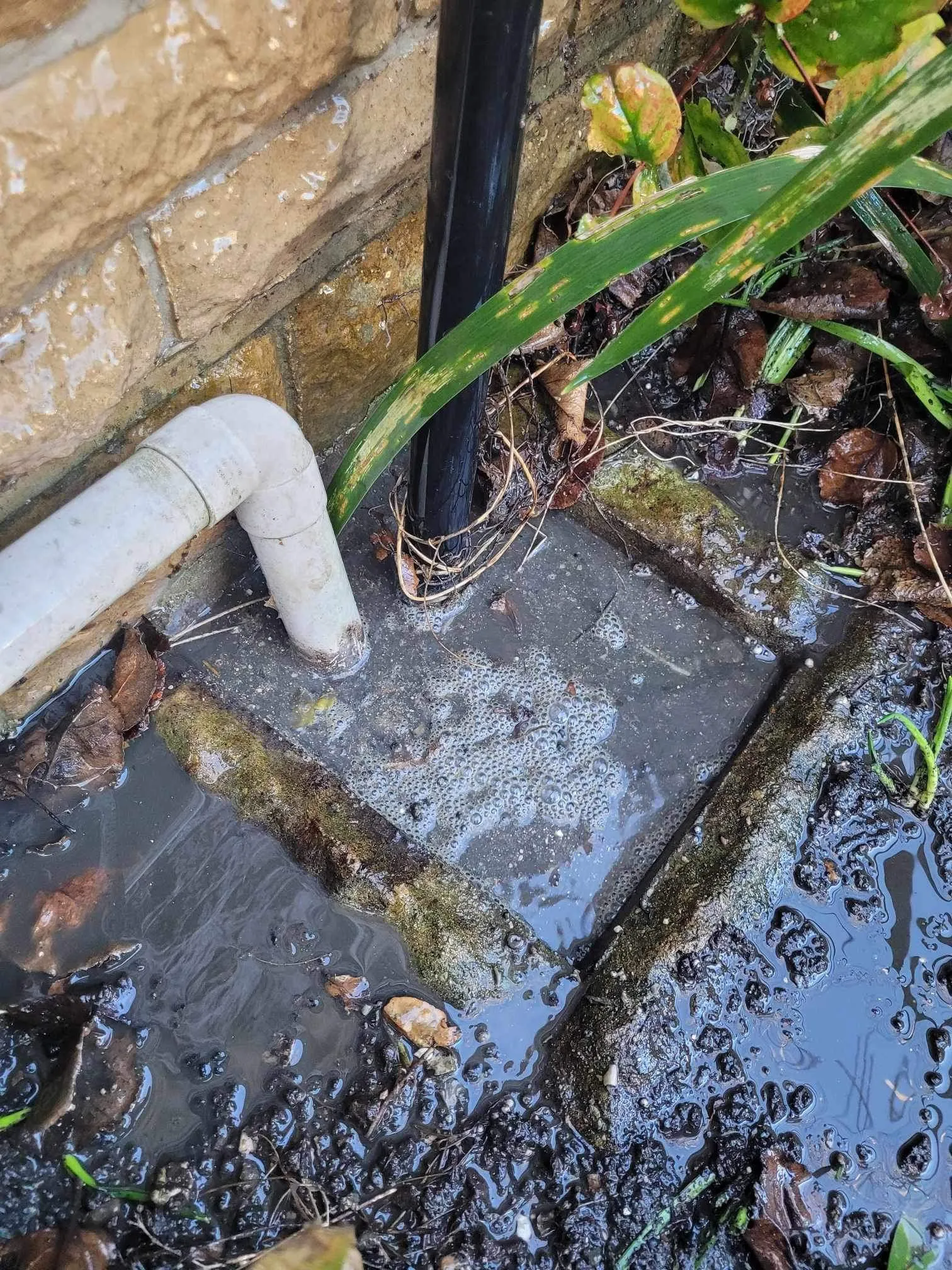 A pipe sticking out of the ground next to a brick wall.