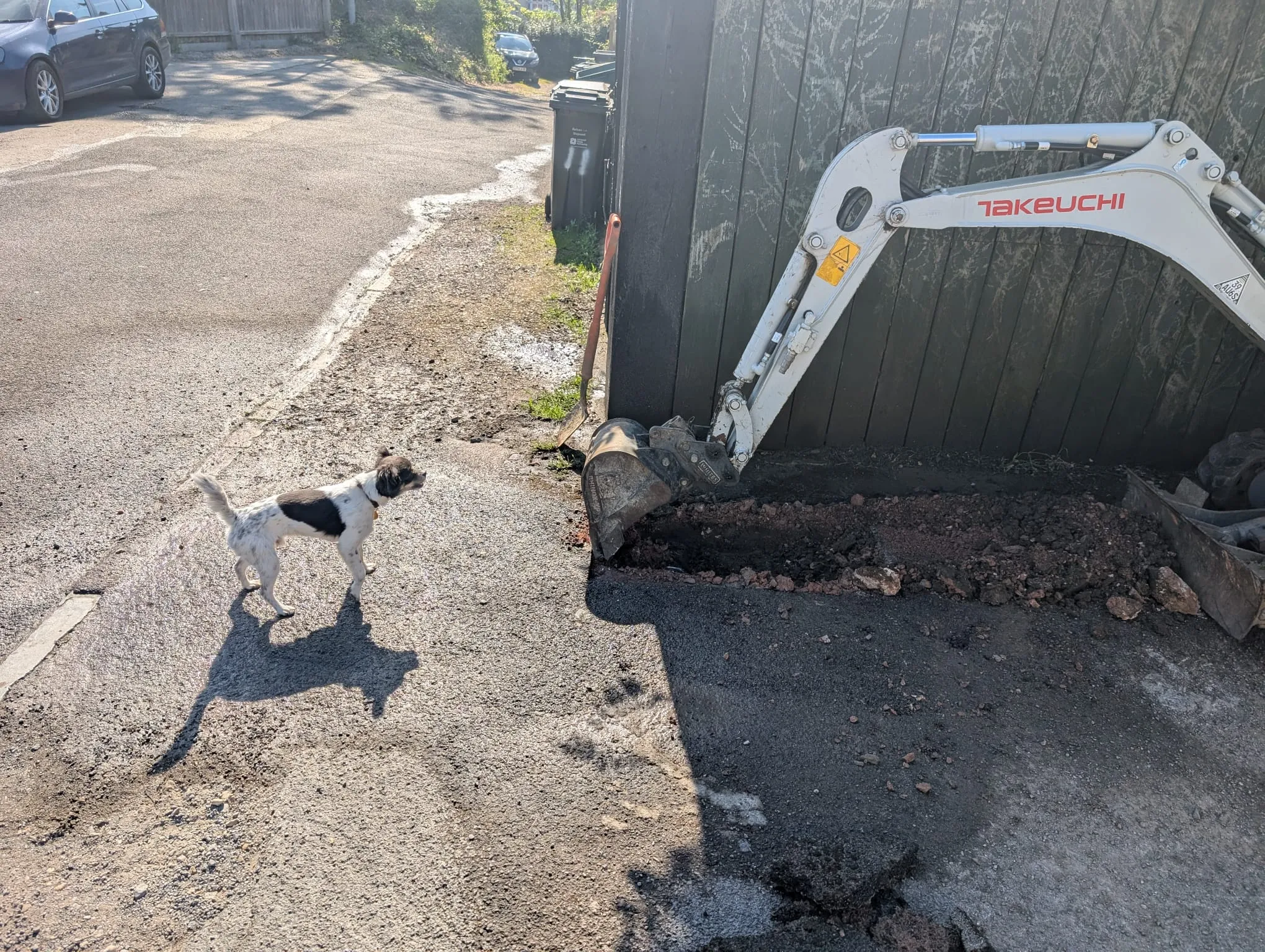 A small dog walking next to a pile of dirt.