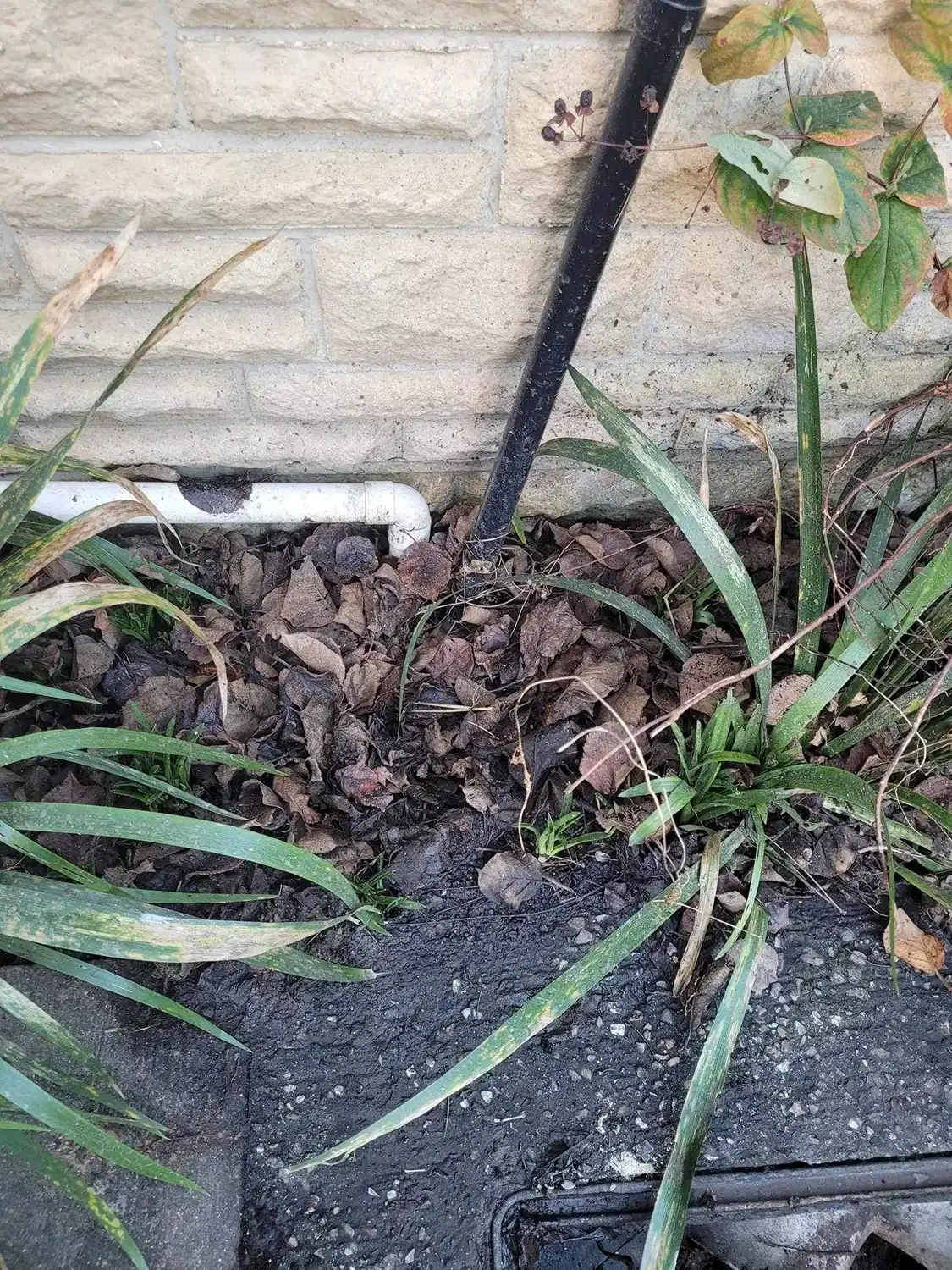 a black pipe that is next to some plants